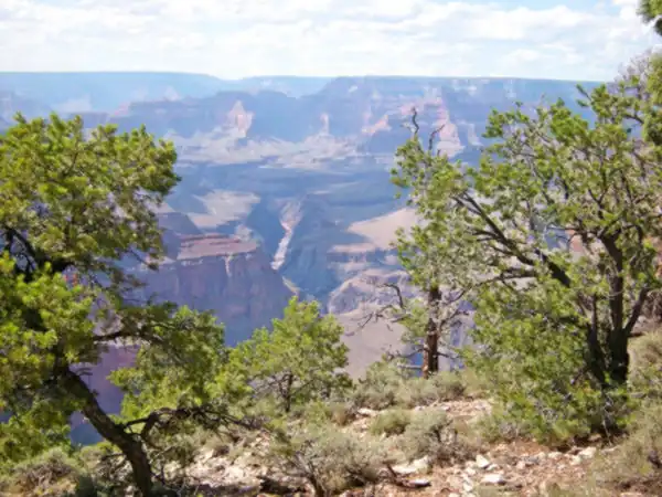 Grand Canyon, sky, bushes, and Colorado River