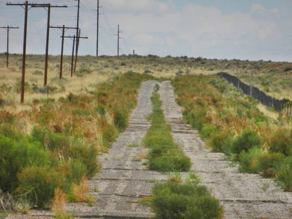 paved road with bushes growing in its cracks, power poles to the left
