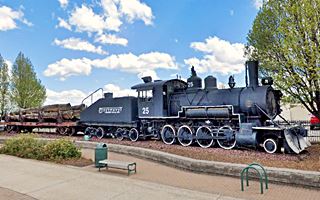 locomotive and wagon loaded with logs