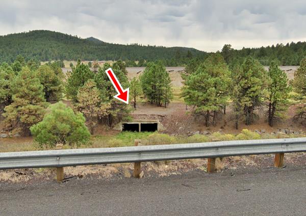 forested hills and a concrete culvert and asphalt roadbed with pines growing on it seen from I-40