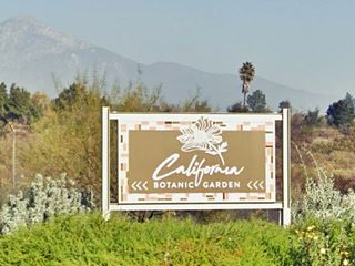 ancho Santa Ana Botanic Garden on US 66 Claremont CA sign reads CALIFORNIA BOTANIC GARDENS, white letters, brown backgroudn, bushes, trees, mountains in the distance