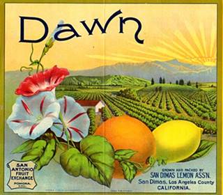 Dawn Lemon brand 1910s Image of a sunrise over hills on a Dawn brand lemon box label