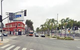 cars, traffic, palm lined avenue