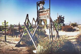 Mahan’s Half Acre sculptures in iron, bottles, sign in the desert, bushes