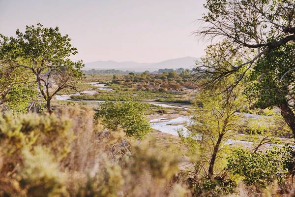 Mojave River near US 66 river with trees and grasses, water. Hills in the distance