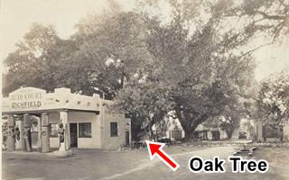 1940s view of Oakleigh Gas station, Duarte CA. Click to Enlarge black and whiute 1940s, Richfield gas station on the left oak tree behind, trees, cabins in a motor court