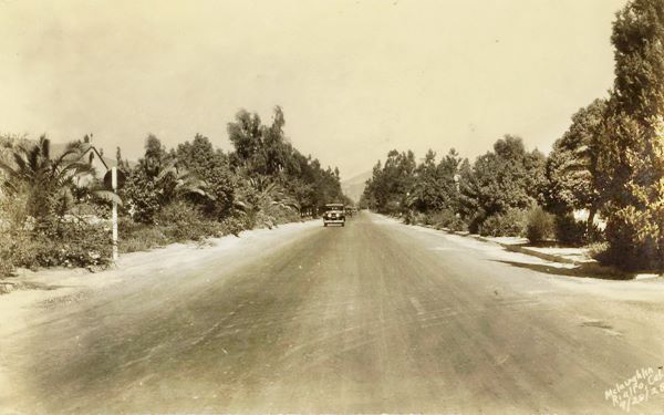black and white 1928 cars along highway near Rialto, trees line narrow paved strip