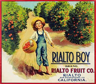 Rialto Boy orange brand 1920 Image of a boy in overalls carrying a basket of oranges and a fishing pole as he walks through an orange grove, an orange box label