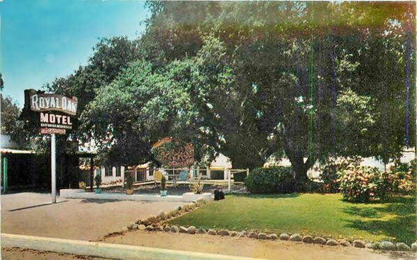 c1960 Royal Oak Motel Duarte CA Route 66 color early 1960s photo postcard, large oak tree, motel behind it and to the left. Neon sign to the left