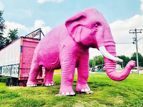 fiberglass elephant almost life sized, painted pink, on a lawn