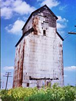 Ballard grain elevator in 2000 color, a grain elevator rises high