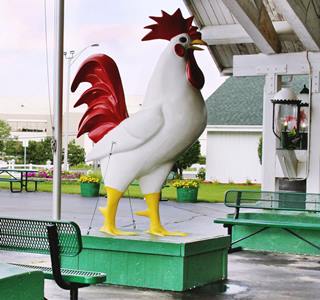 giant Chicken statue at White Fence Restaurant color, giant chicken at the entrance to a restaurant