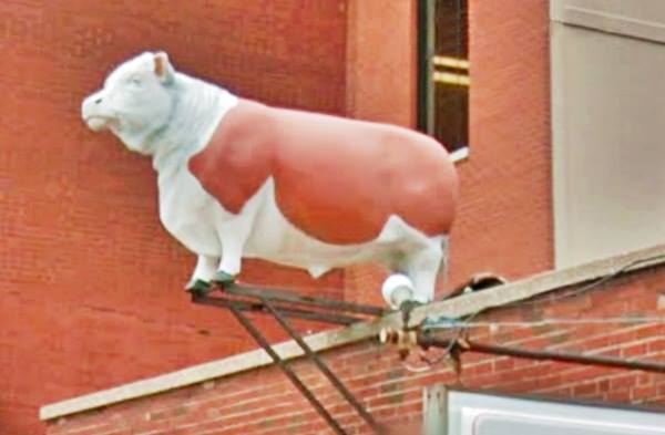 larger-than-life sized fiberglass Hereford steer statue above store entrance with red brick building in the background