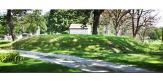 Oakwood Mound, from Strezewski, Hedman, and Emerson’s paper grass covered mound surrounded by trees