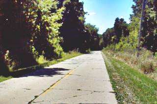 Original US66 in Funks Grove IL color: trees line a concrete roadbed with 2 lanes. US 66