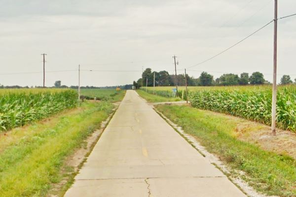 narrow concrete road running between corn fields