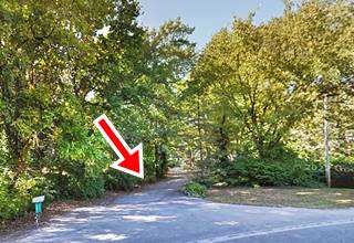 narrow roadbed runs into wooded area