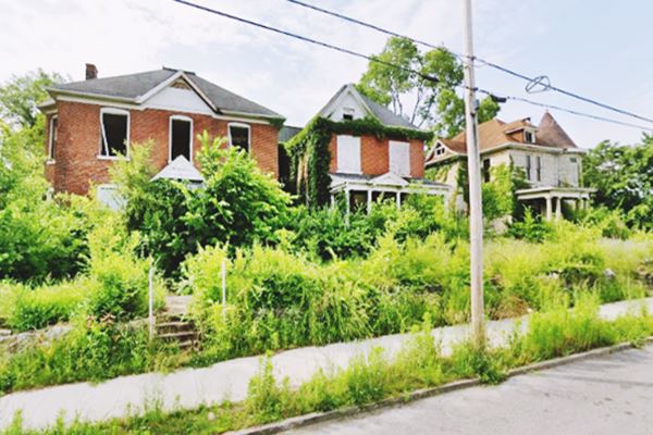 three empty, derelict, boarded-up and vacant houses, overgrown with weeds