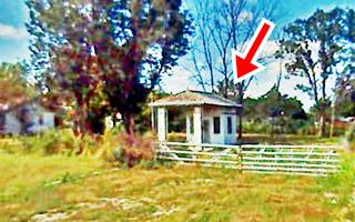 trees and the 1916 gas station