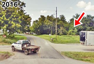 site of old gas station in the trees