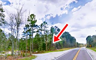 Laquey Route 66 roadside park tall trees line the sides of Route 66