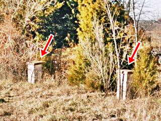stone pillars in the shrubs by the highway