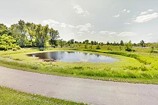 pond surrounded by trees and grass