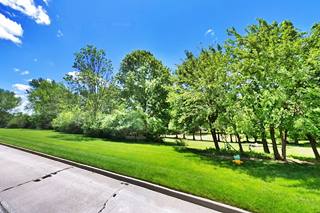 trees and grass by highway shoulder
