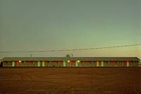 Siesta Motel 1981 Moriarty US66 thumbnail image of a single floor lineal motel with units facing US66 and gable roof in the dusk