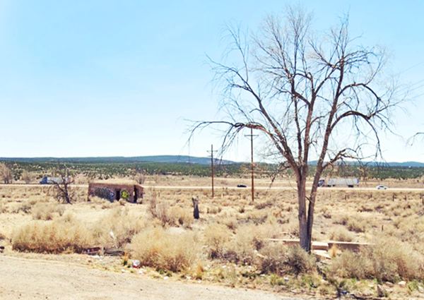 rubble, dry grass, shrubs, trees with no leaves on their branches, a vacant block building in the distance and beyond, the freeway and hills