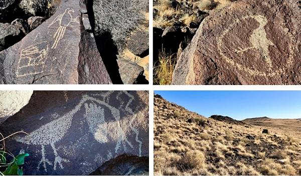 four images with three showing native rock art on black volcanic stones and lower right one showing the arid scenery, black rocks under brown grass