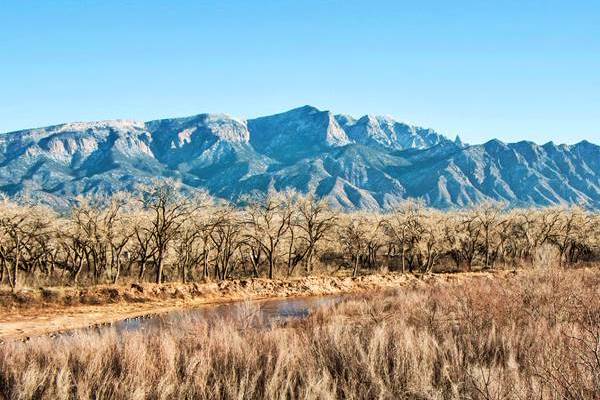 Sandia mountains in the distance, trees and river in foreground, winter