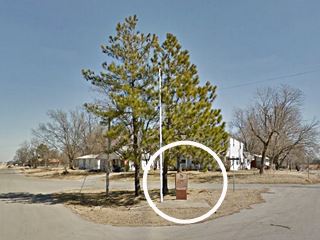 monument under a pine tree