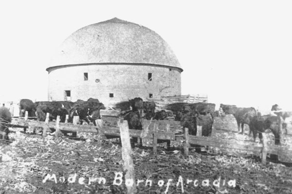 round barn and cattle in a black and white vintage photo