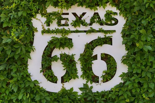 Route 66 with white steel on a green living ivy wall