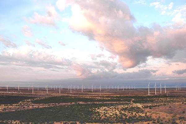 dozens of wind generators on the open range
